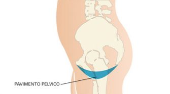 PAVIMENTO_PELVICO