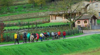 Compagnia dei cammini