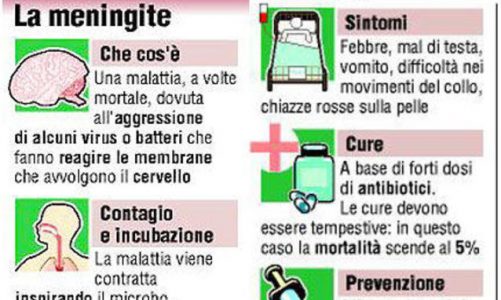 meningite-fulminante_h_partb2