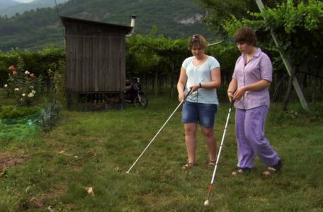 Una scena del film Il colore dell'erba