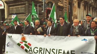 trattori in piazza agrinsieme catania