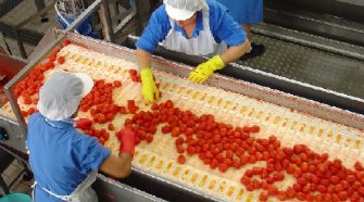 industria alimentare siciliana