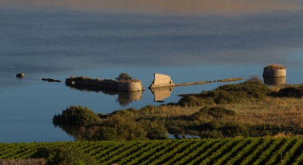 Situata vicino a Sambuca di Sicilia, paese di origine araba sulle sponde del Lago Arancio, la tenuta dell'Ulmo è la prima di Planeta, inaugurata nel 1995.