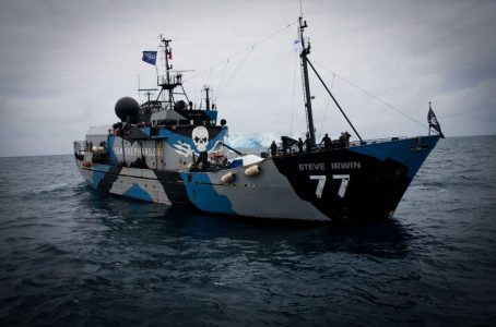 Una delle navi di Sea Shepherd