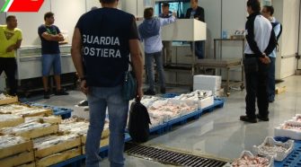 operazione springfish