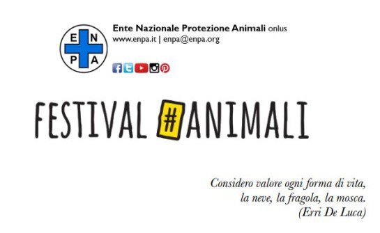 Festival#Animali