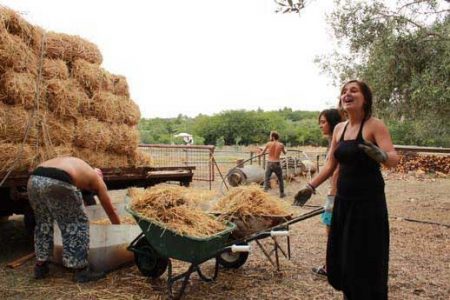 Esepio di ecovillaggi. Ciumaranni