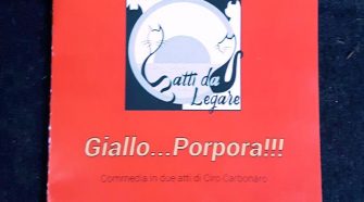 gatti da legare giallo porpora