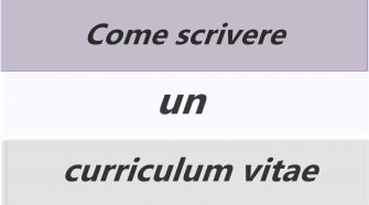 curriculum vitae